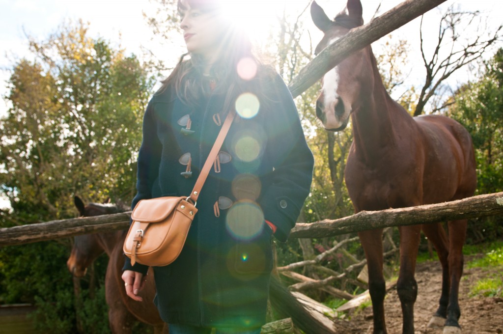 la tolfetana campagna pubblicitaria